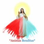 Animas Benditas profile picture